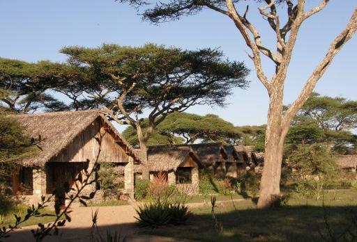 Voyage sur-mesure, Lodge 4* près du lac Ndutu